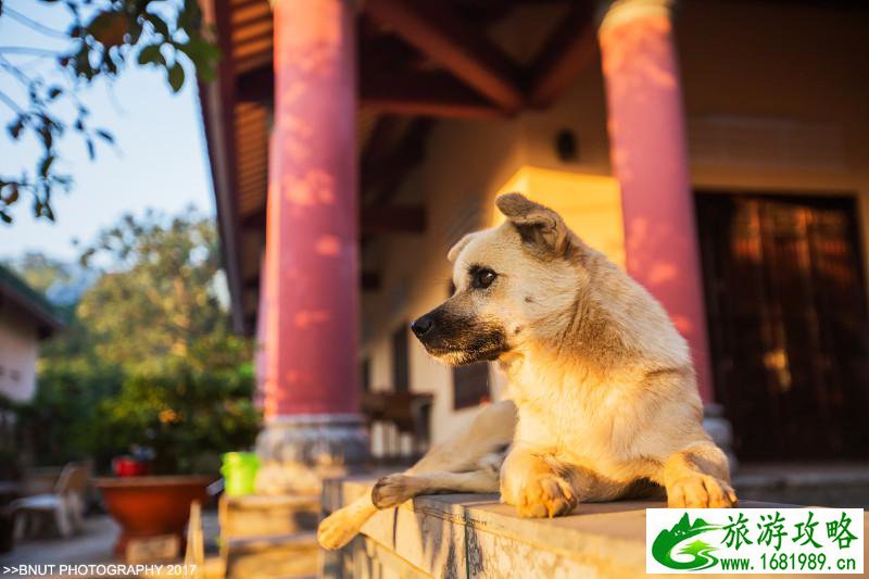 越南有什么好玩的 去越南旅游要多少钱 越南有什么好玩的 去越南旅游要多少钱