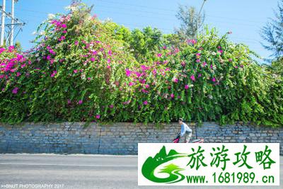 越南有什么好玩的 去越南旅游要多少钱 越南有什么好玩的 去越南旅游要多少钱