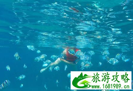 夏威夷的恐龙湾好玩吗 夏威夷的恐龙湾有哪些景点 夏威夷的恐龙湾在哪儿 夏威夷的恐龙湾好玩吗 夏威夷的恐龙湾有哪些景点 夏威夷的恐龙湾在哪儿