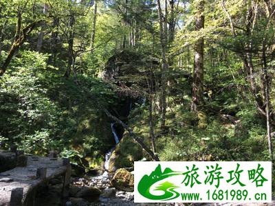 神农架有什么好玩的地方 神农架有野人吗 神农架有什么好玩的地方 神农架有野人吗