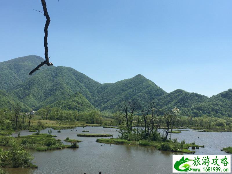 神农架有什么好玩的地方 神农架有野人吗 神农架有什么好玩的地方 神农架有野人吗
