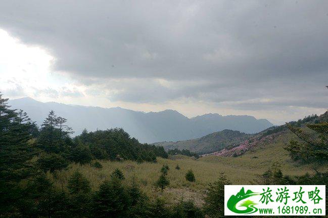 神农架有什么好玩的地方 神农架有野人吗 神农架有什么好玩的地方 神农架有野人吗