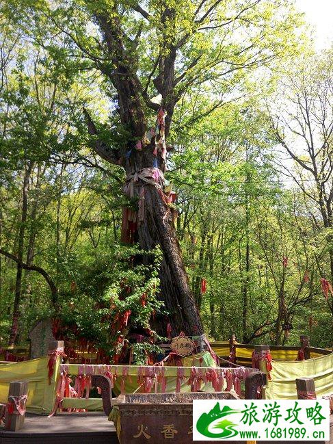 神农架有什么好玩的地方 神农架有野人吗 神农架有什么好玩的地方 神农架有野人吗