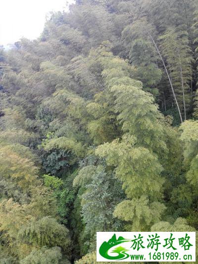 蜀南竹海有哪些景点 好玩吗 蜀南竹海有哪些景点 好玩吗