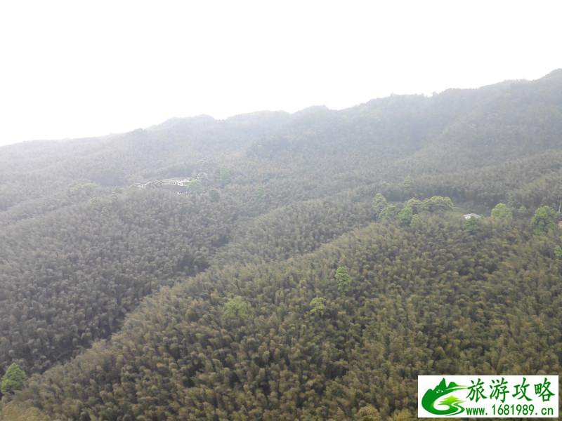 蜀南竹海有哪些景点 好玩吗 蜀南竹海有哪些景点 好玩吗