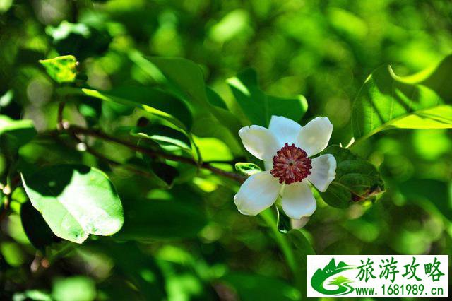 抚顺有什么好玩的 抚顺有什么好玩的