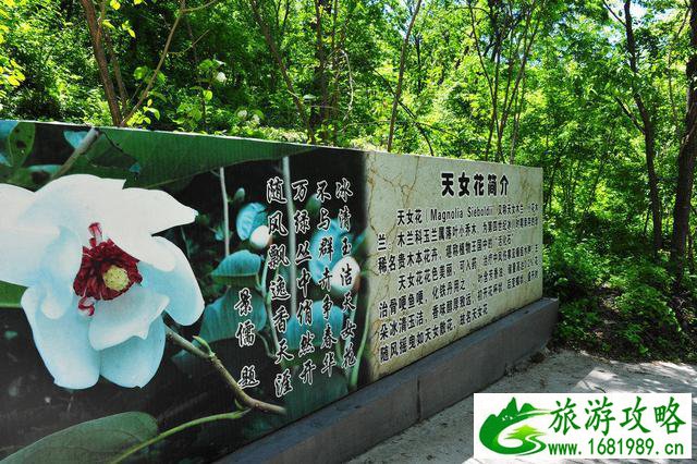 抚顺有什么好玩的 抚顺有什么好玩的