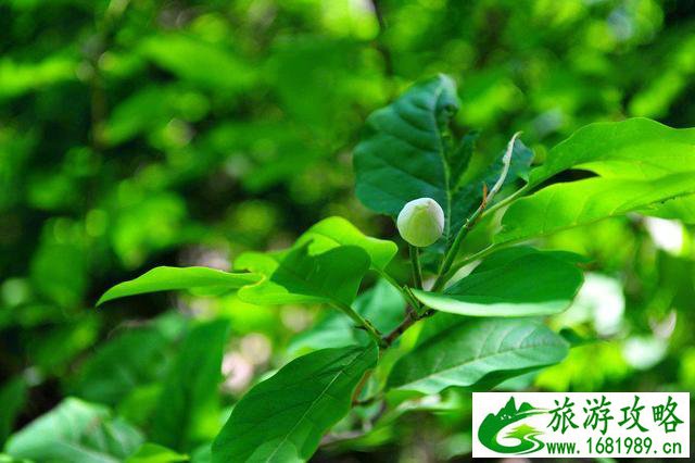 抚顺有什么好玩的 抚顺有什么好玩的