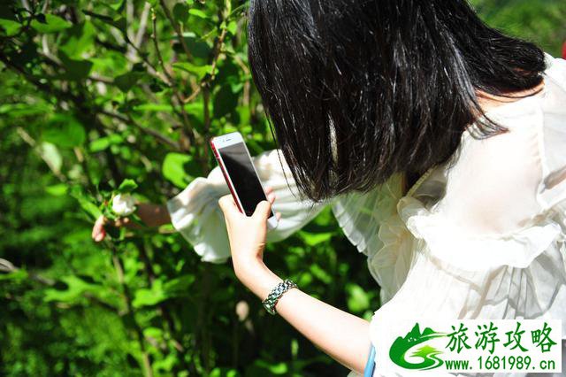 抚顺有什么好玩的 抚顺有什么好玩的