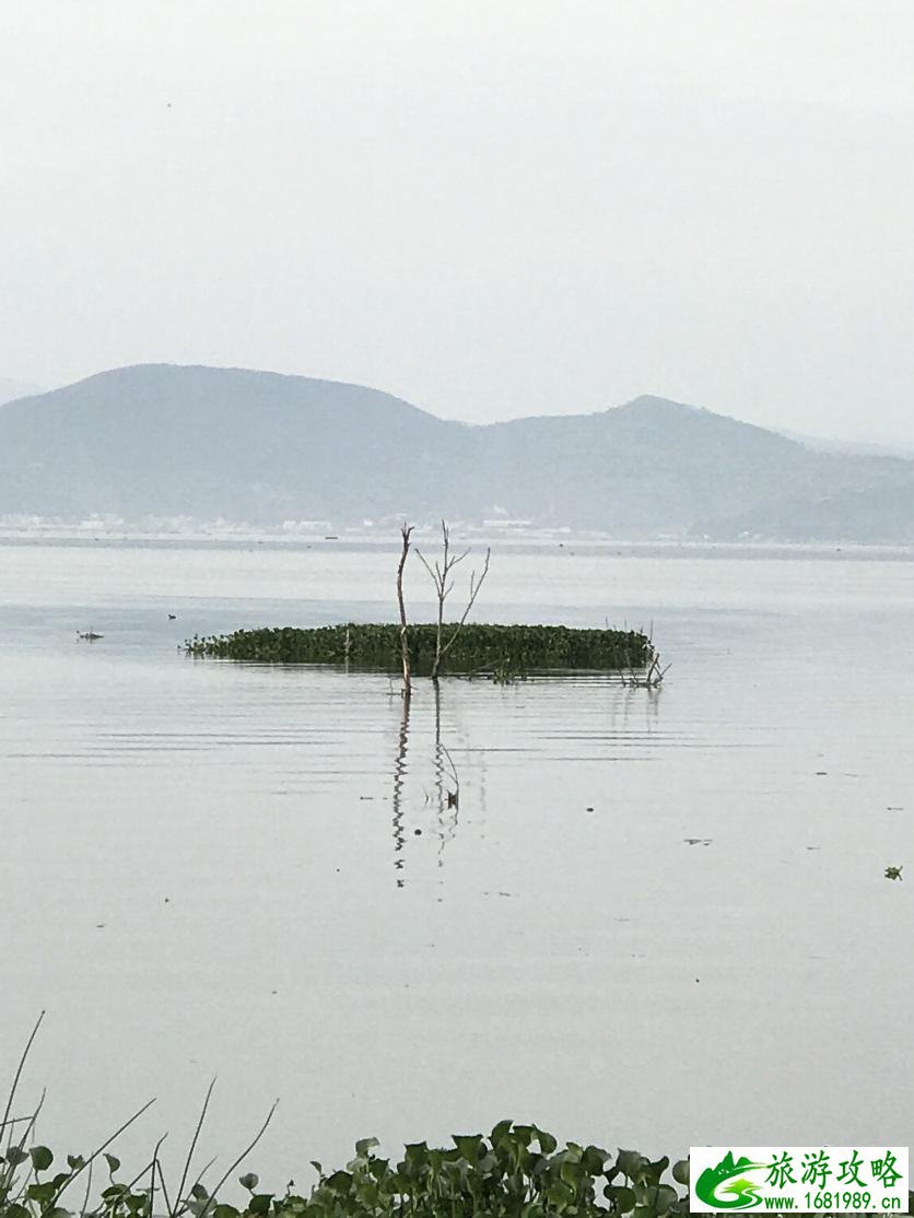 杞麓湖国家湿地公园自助旅游攻略 杞麓湖国家湿地公园自助旅游攻略