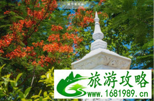埔寨暹粒自由行旅游攻略 埔寨暹粒自由行旅游攻略