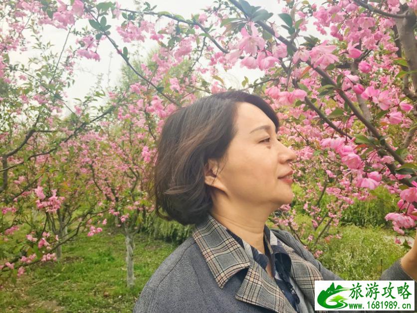 上海有什么好玩的地方 上海有哪些好玩的景点