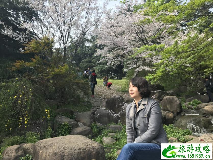 上海有什么好玩的地方 上海有哪些好玩的景点