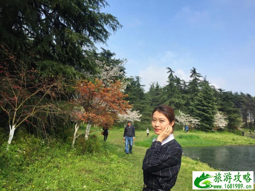 上海有什么好玩的地方 上海有哪些好玩的景点