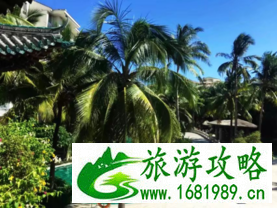去三亚旅游要注意些什么 去三亚玩要做什么准备吗 去三亚旅游要注意些什么 去三亚玩要做什么准备吗