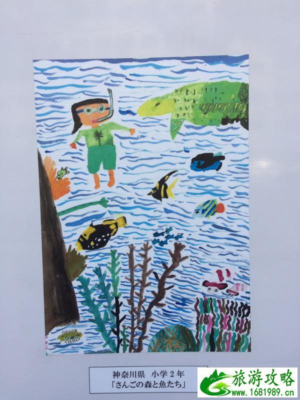 日本关西自由行6天攻略 日本关西自由行需要注意什么 日本关西自由行6天攻略 日本关西自由行需要注意什么