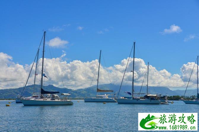 斐济自由行攻略 斐济有什么特产 斐济自由行攻略 斐济有什么特产