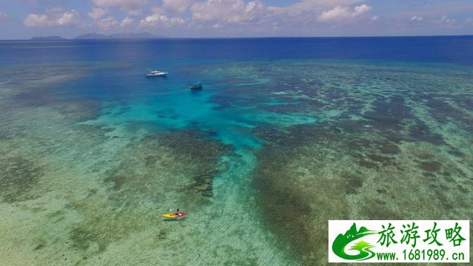 斐济自由行攻略 斐济有什么特产 斐济自由行攻略 斐济有什么特产