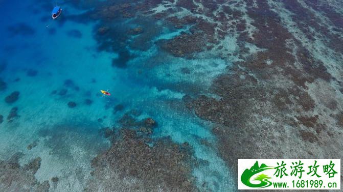 斐济自由行攻略 斐济有什么特产 斐济自由行攻略 斐济有什么特产