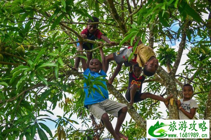 斐济自由行攻略 斐济有什么特产 斐济自由行攻略 斐济有什么特产