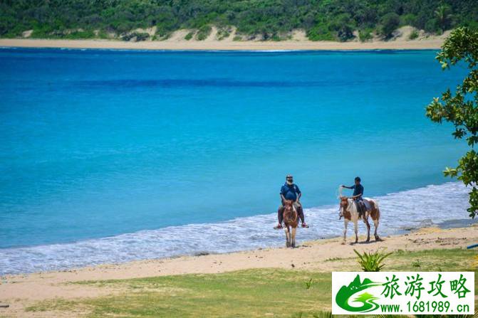 斐济自由行攻略 斐济有什么特产 斐济自由行攻略 斐济有什么特产