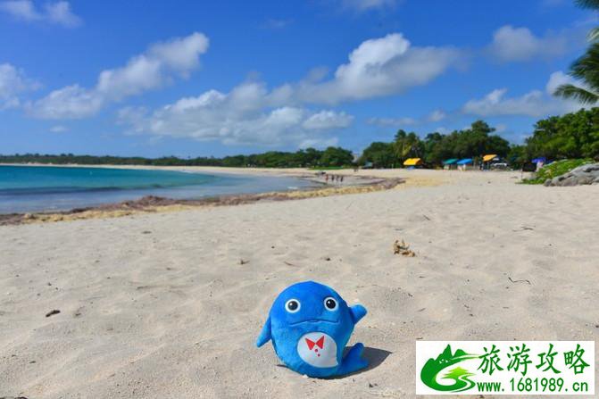 斐济自由行攻略 斐济有什么特产 斐济自由行攻略 斐济有什么特产