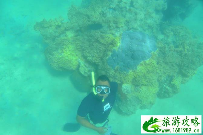 斐济自由行攻略 斐济有什么特产 斐济自由行攻略 斐济有什么特产