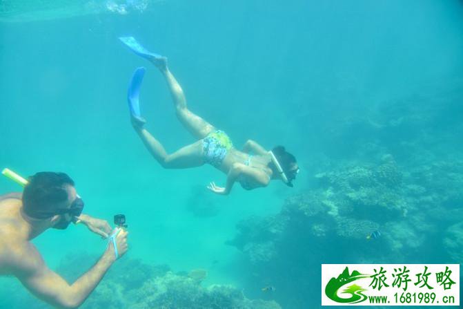 斐济自由行攻略 斐济有什么特产 斐济自由行攻略 斐济有什么特产