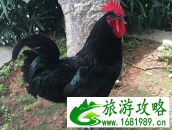 南普陀寺在哪儿 南普陀寺有什么景点 南普陀寺在哪儿 南普陀寺有什么景点