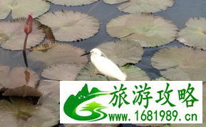 南普陀寺在哪儿 南普陀寺有什么景点 南普陀寺在哪儿 南普陀寺有什么景点