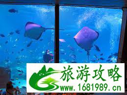 夏威夷有什么景点 好玩吗 夏威夷有什么景点 好玩吗