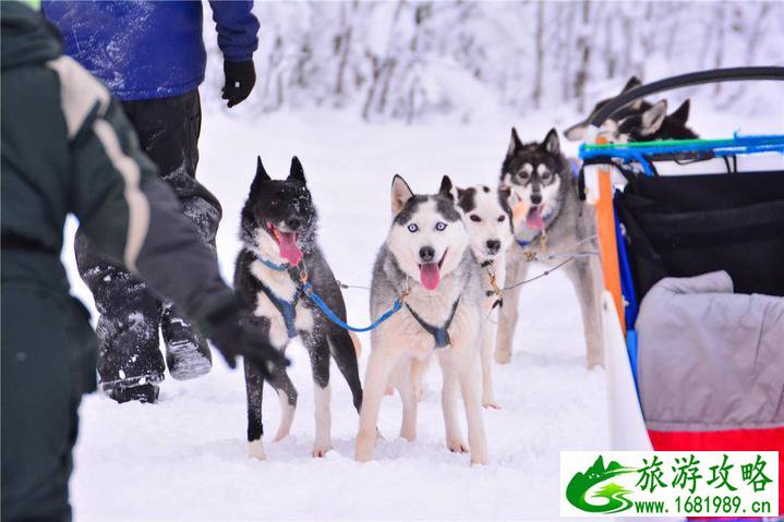 美国的阿拉斯加有什么好风景? 阿拉斯加的由来 美国的阿拉斯加有什么好风景? 阿拉斯加的由来
