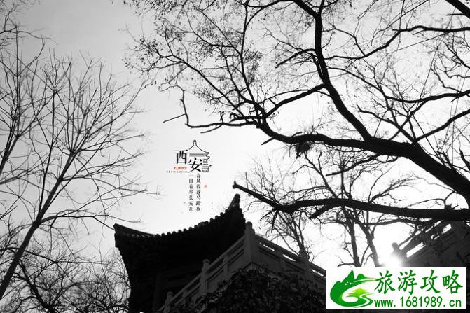西安有哪些景点 西安有什么特产 西安有哪些景点 西安有什么特产