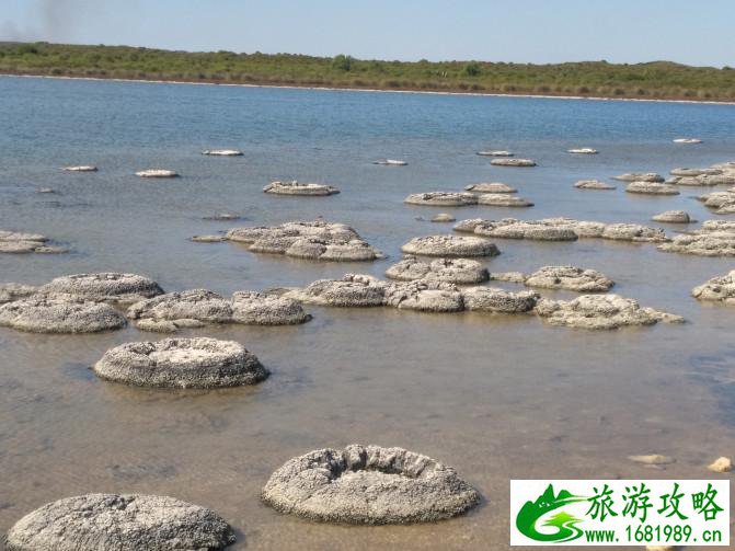 珀斯自由行攻略 好玩吗 珀斯自由行攻略 好玩吗