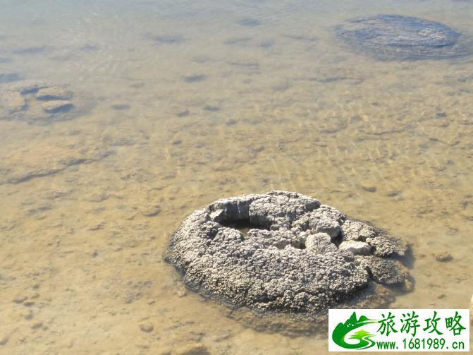 珀斯自由行攻略 好玩吗 珀斯自由行攻略 好玩吗