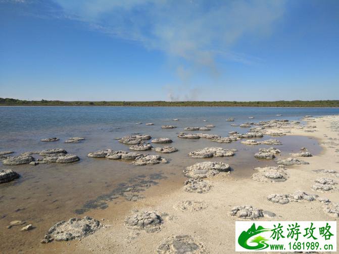 珀斯自由行攻略 好玩吗 珀斯自由行攻略 好玩吗