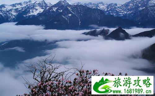 虎牙藏族乡好玩吗 虎牙藏族乡旅游攻略 虎牙藏族乡好玩吗 虎牙藏族乡旅游攻略