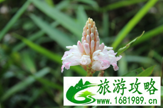 三亚亲子游必备物品 三亚亲子游必玩景点 三亚亲子游必备物品 三亚亲子游必玩景点