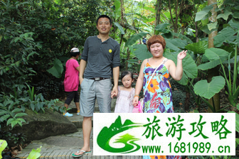 三亚亲子游必备物品 三亚亲子游必玩景点 三亚亲子游必备物品 三亚亲子游必玩景点