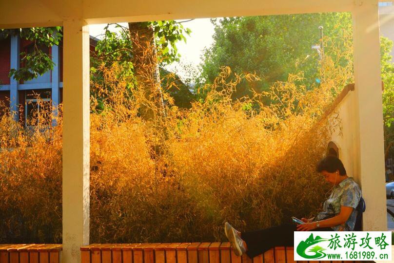 北京大学的学生生活体验 北京大学的学生过得轻松吗 北京大学的学生生活体验 北京大学的学生过得轻松吗