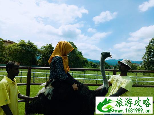 马来西亚的森美兰州有什么好玩的地方 马来西亚的森美兰在哪儿 马来西亚的森美兰州有什么好玩的地方 马来西亚的森美兰在哪儿