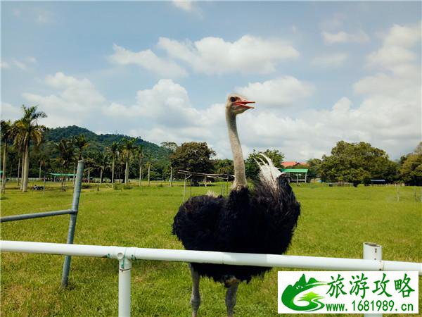 马来西亚的森美兰州有什么好玩的地方 马来西亚的森美兰在哪儿 马来西亚的森美兰州有什么好玩的地方 马来西亚的森美兰在哪儿