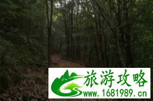 东湖森林公园有什么好玩的 东湖森林公园有哪些值得游玩的景点 东湖森林公园有什么好玩的 东湖森林公园有哪些值得游玩的景点