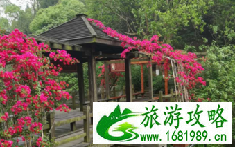 东湖森林公园有什么好玩的 东湖森林公园有哪些值得游玩的景点 东湖森林公园有什么好玩的 东湖森林公园有哪些值得游玩的景点