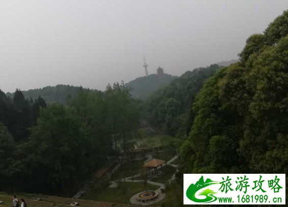 东湖森林公园有什么好玩的 东湖森林公园有哪些值得游玩的景点 东湖森林公园有什么好玩的 东湖森林公园有哪些值得游玩的景点