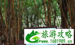 东湖森林公园有什么好玩的 东湖森林公园有哪些值得游玩的景点 东湖森林公园有什么好玩的 东湖森林公园有哪些值得游玩的景点