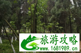 东湖森林公园有什么好玩的 东湖森林公园有哪些值得游玩的景点 东湖森林公园有什么好玩的 东湖森林公园有哪些值得游玩的景点