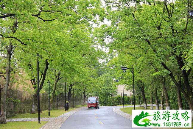 什么时候去乌镇最好