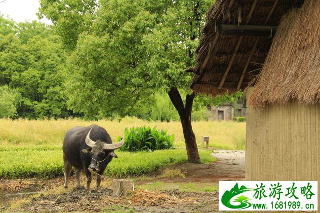 什么时候去乌镇最好