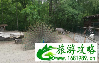 德国北威州有哪些好玩的路线 德国北威州有哪些好玩的路线